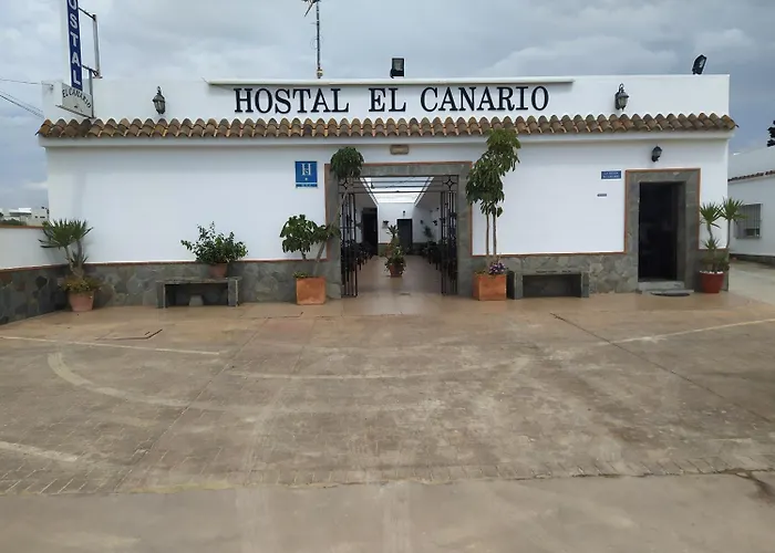 Hostal El Canario Conil De La Frontera